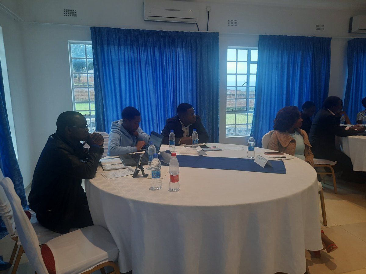 The Catalead tweet media