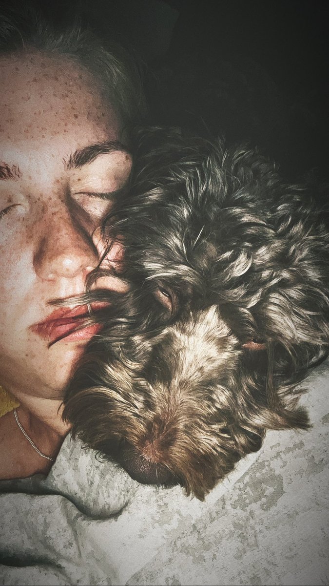 S830Paige's tweet photo. Who needs alarm clocks when you have a cockapoo?
#onlyfans #alarm #puppy #blonde #london #newpost #girl #cutie #cuddles https://t.co/S0vJPwdz5p