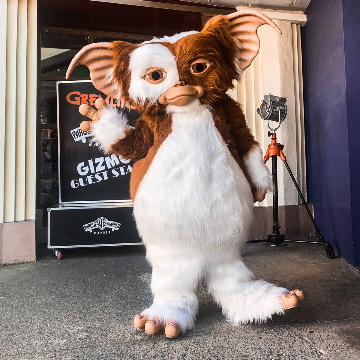 ParqueWarner's tweet photo. No tenemos pruebas (pero tampoco dudas 🙄) de que esta noticia os va a hacer MUCHA ilusión. 👉 Vuestros deseos son órdenes y... ¡#Gizmo está de vuelta en #ParqueWarner a partir de mañana!

¿Existe un ser peludo más adorable? 😍 La respuesta es NO. https://t.co/C19XCx1UtA