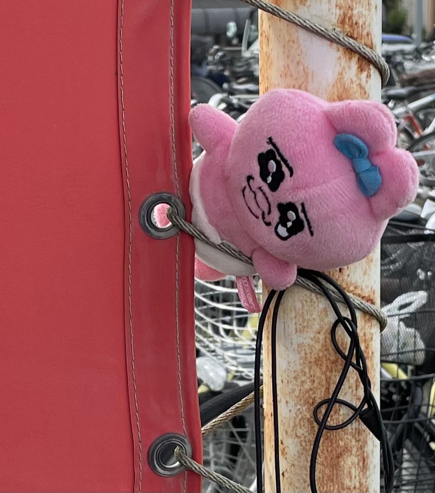 ktn9_t's tweet photo. (23)迷子おぱんちゅうさぎ

🔻発見状態🔻 
挟まっている状態。

🔻種類🔻
マスコット3 (プライズ産)

飼い主さんに見つかるように、自ら登ったんでちゅかね😭

引用元↓
isami_don_days 

#迷子おぱんちゅうさぎ
#おぱんちゅうさぎ https://t.co/lKQsumSQSy