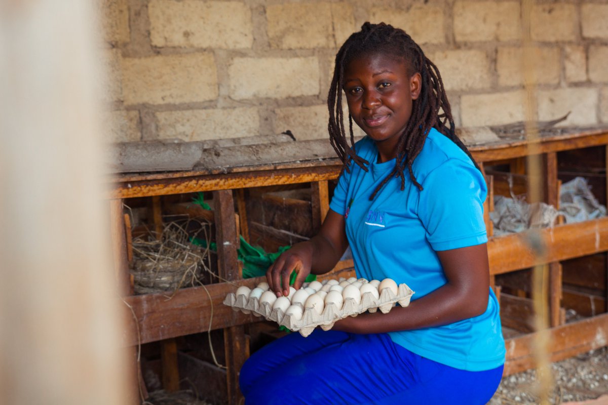Through skills training the #OYE project has created 5,803 new/improved (self-) employment to youth in agrifoods, energy and green jobs space in Zimbabwe.