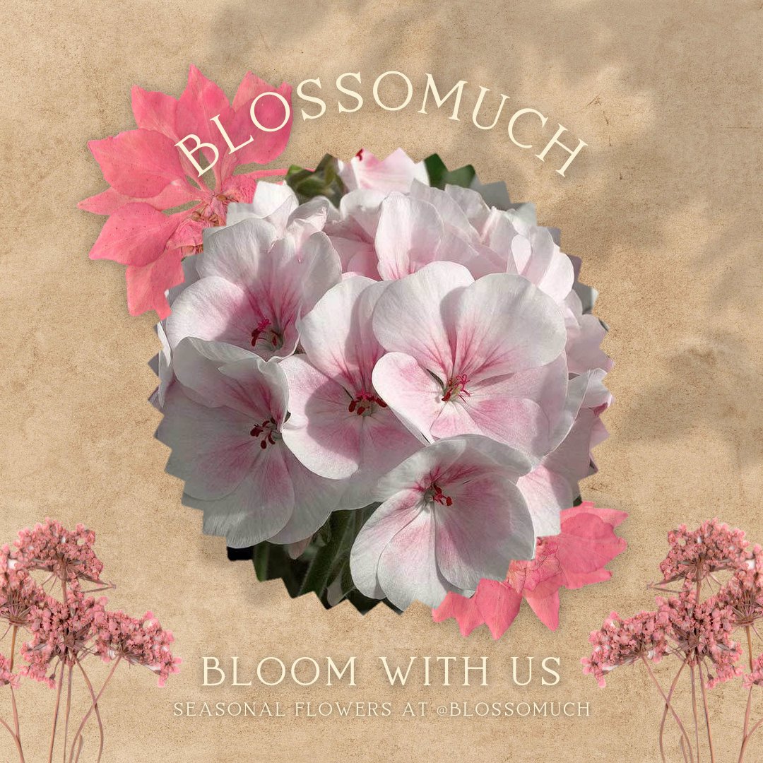 regardler's tweet image. ⠀

⠀ 𓂃 𝘽𝙇𝙊𝙎𝙎𝙊𝙈𝙐𝘾𝙃 DELIVERY .ᐟ

dear @freefallmax , you have received a flower.

note: For my sweetest sunshine!

sender: -

⠀⠀⠀⠀⠀⠀⠀⠀⠀⠀⠀⠀⠀ 𔓘 Blossomuch

⠀