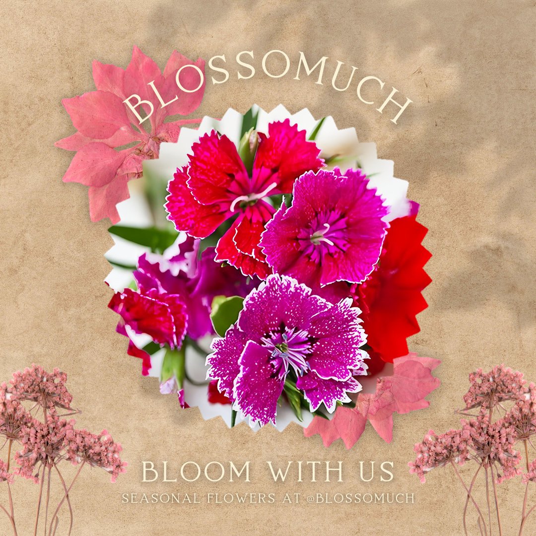 regardler's tweet image. ⠀

⠀ 𓂃 𝘽𝙇𝙊𝙎𝙎𝙊𝙈𝙐𝘾𝙃 DELIVERY .ᐟ

dear @freefallmax , you have received a flower.

note: For my sweetest sunshine!

sender: -

⠀⠀⠀⠀⠀⠀⠀⠀⠀⠀⠀⠀⠀ 𔓘 Blossomuch

⠀