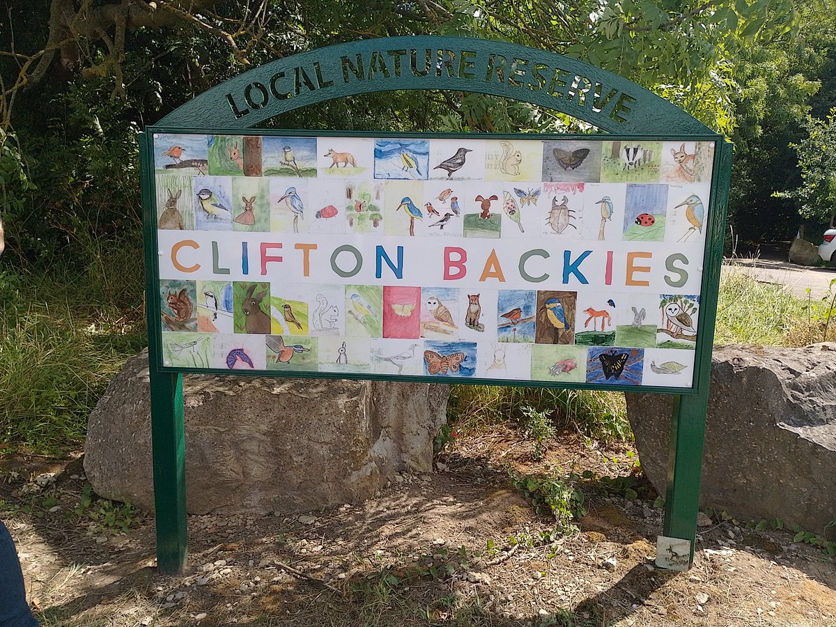 Fantastic to see the artistic talent of pupils at @ValeYorkAcademy is being celebrated down at Clifton Backies, where the new sign is a collage of their art work.