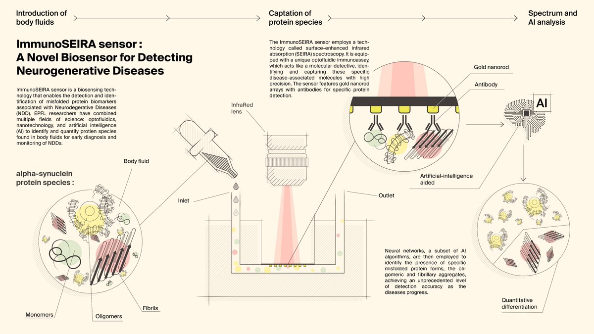 EPFL School of Engineering (@epflengineering) on Twitter photo Researchers <a href="/EPFL_en/">EPFL</a> introduce the highly-multidisciplinary, AI-enhanced, biosensing tool #ImmunoSEIRA for the detection of misfolded proteins linked to Parkinson’s and Alzheimer’s disease.
<a href="/EPFL_altug_lab/">Hatice Altug</a> <a href="/LashuelLab/">LashuelNeuroLab</a> @Hlashuel
actu.epfl.ch/news/a-novel-b… Researchers <a href="/EPFL_en/">EPFL</a> introduce the highly-multidisciplinary, AI-enhanced, biosensing tool #ImmunoSEIRA for the detection of misfolded proteins linked to Parkinson’s and Alzheimer’s disease.
<a href="/EPFL_altug_lab/">Hatice Altug</a> <a href="/LashuelLab/">LashuelNeuroLab</a> @Hlashuel
actu.epfl.ch/news/a-novel-b…