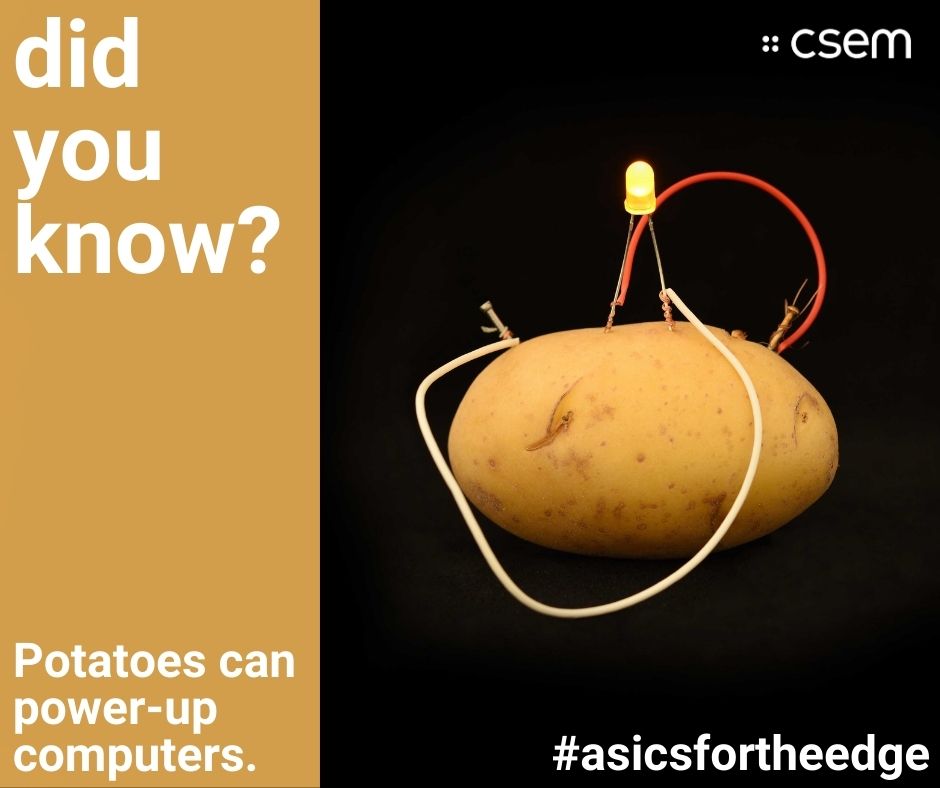 🌟✨ Fun fact #2 In 2020, an ingenious YouTuber achieved an extraordinary feat by connecting a series potato battery cells. This great experiment showcases the potential of potatoes to energize low-power ASICs for the edge, proving the world of innovation knows no bounds.