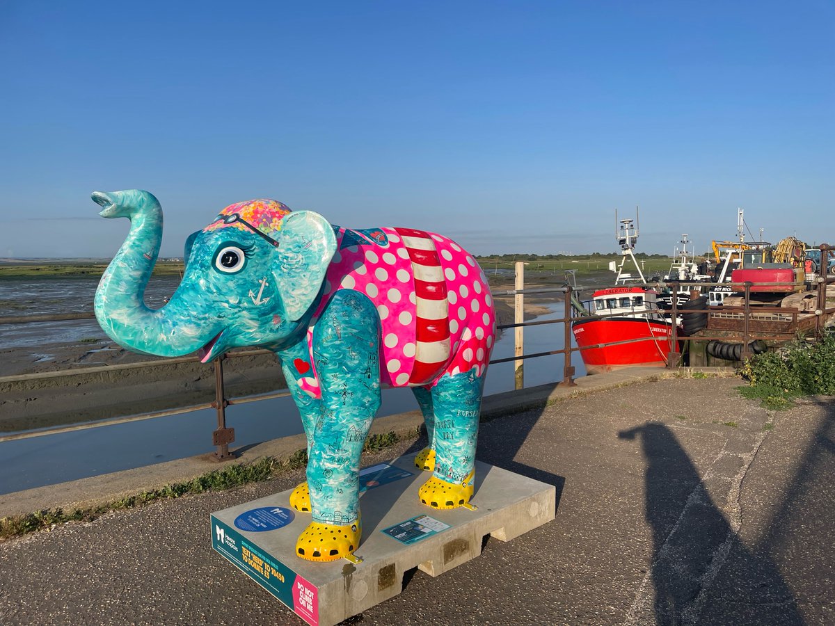 Wild in Art tweet media