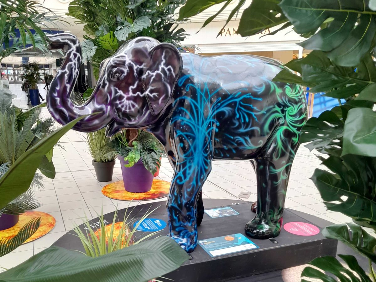 Wild in Art tweet media