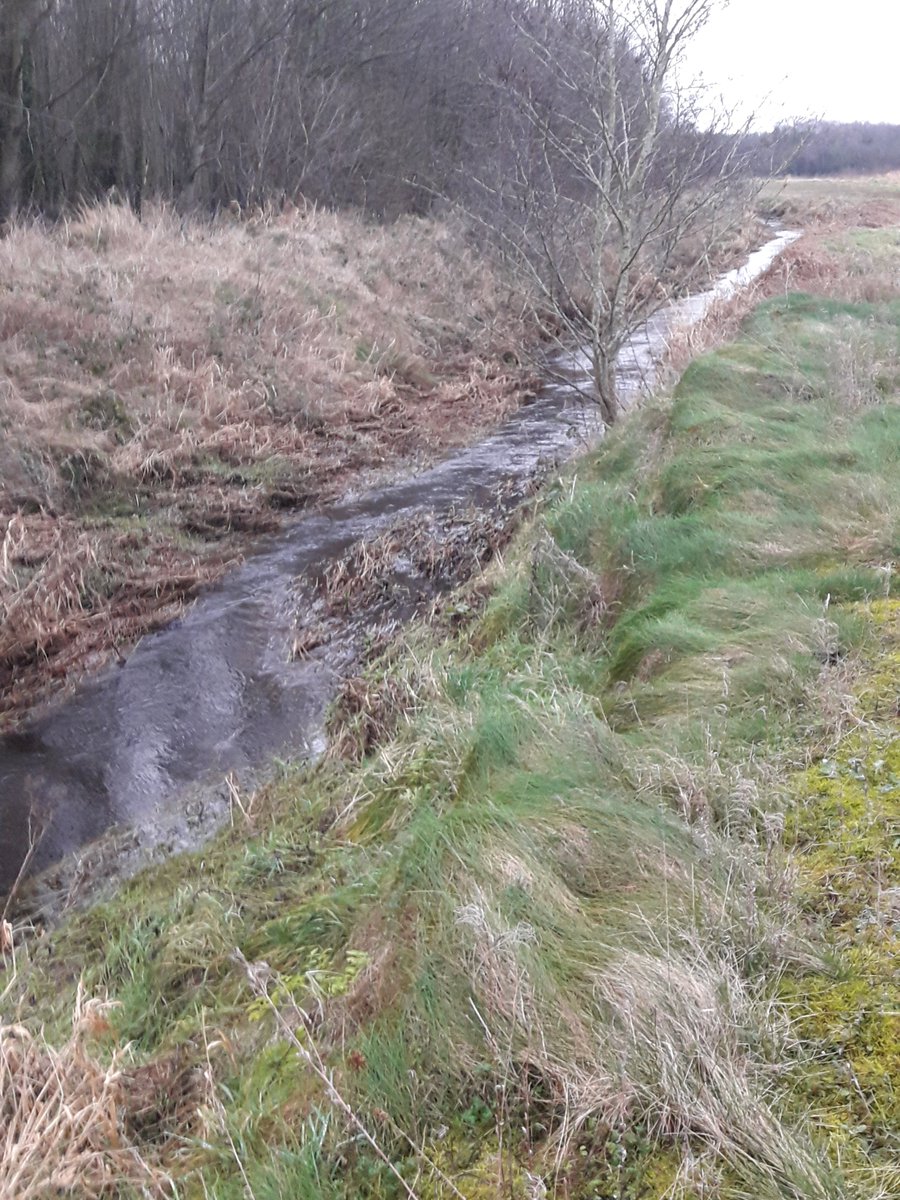 InlandFisherIE's tweet photo. π£ @InlandFisherIE will carry out river fishery habitat improvements on the River Esker that joins the Barrow in #Offaly.
β¬50,000 has been granted for spawning restoration on the degraded channel as part of @InlandFisherIE Habitats & Conservation Fund 2023.
#IFIConservation https://t.co/2p4CbAUCbt
