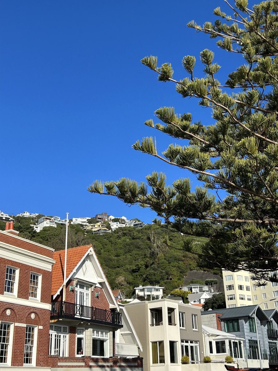 Wellington put on its Winter best for my final day. Oriental Bay was basking in the sun and blue skies. A perfect location for a final brunch 😊. Thanks, Welly, I’ll miss you! <a href="/OrientalBayNZ/">Oriental Bay</a>⁩ ⁦<a href="/UKinNZ/">UK in New Zealand</a>⁩
