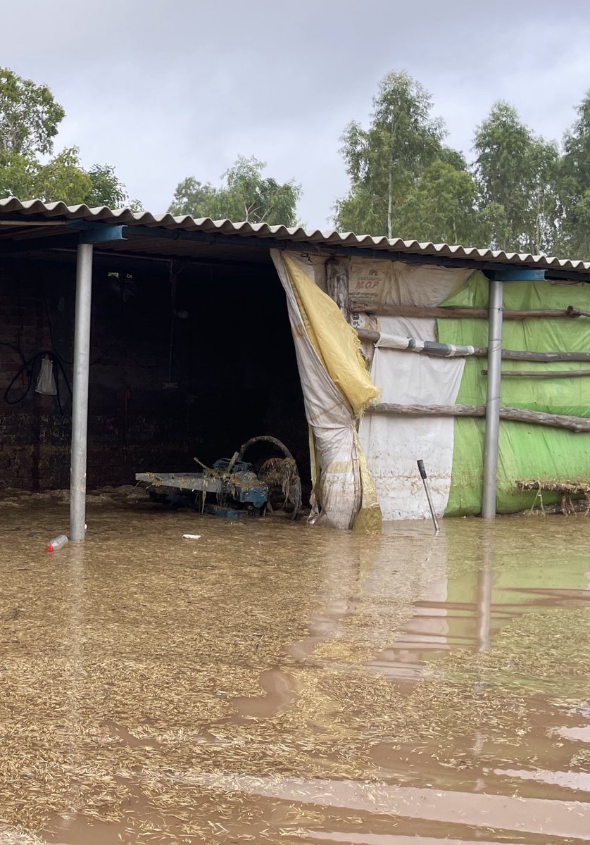Sandeep Singh on Twitter "Flood ravaged after breach in Satluj river’s