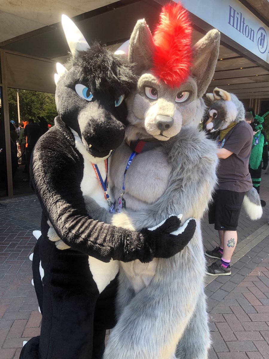 A good dragon and a bad wolf. 😜

Sharing a nice moment with ⁦<a href="/DragonRaketh/">Raketh</a>⁩ at ⁦<a href="/cfconvention/">ConFuzzled</a>⁩ 

#FursuitFriday
