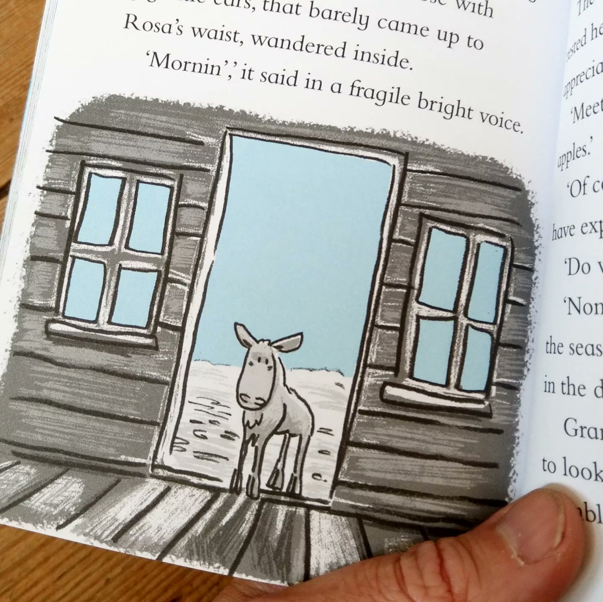 Out on 20 July, here's the fourth book in the #bigskymountain series! I'm so happy to see this book finally coming out into the wild. Written and illustrated while at my worst with Long Covid/chronic fatigue, it feels like a huge deal to have the finished thing in my hands! 😍