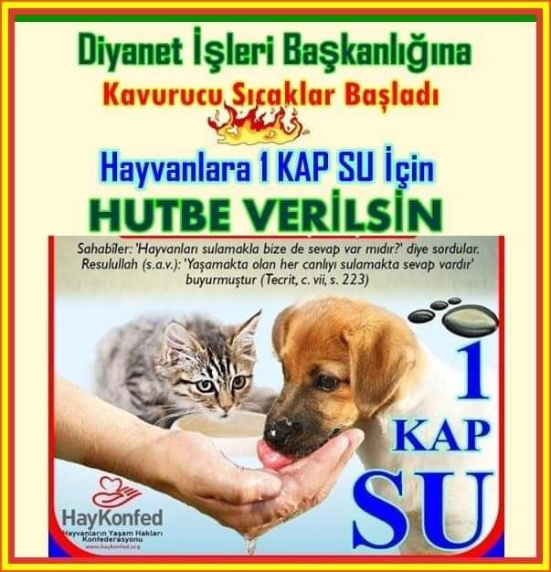 Diyanet İşleri Başkanlığından,
KAVURUCU SICAKLARDA Hayvanlara
Bir Kap SU verilmesi için HUTBE verilmesini istiyoruz.

#BirKapSu 

<a href="/tcbestepe/">T.C. Cumhurbaşkanlığı</a>  <a href="/DIBAliErbas/">Prof. Dr. Ali Erbaş</a> <a href="/DiyanetVakfi/">Türkiye Diyanet Vakfı</a> <a href="/diyanetbasin/">T.C. Diyanet İşleri Başkanlığı</a> <a href="/diyanethbr/">Diyanet Haber</a> <a href="/iletisim/">T.C. İletişim Başkanlığı</a>