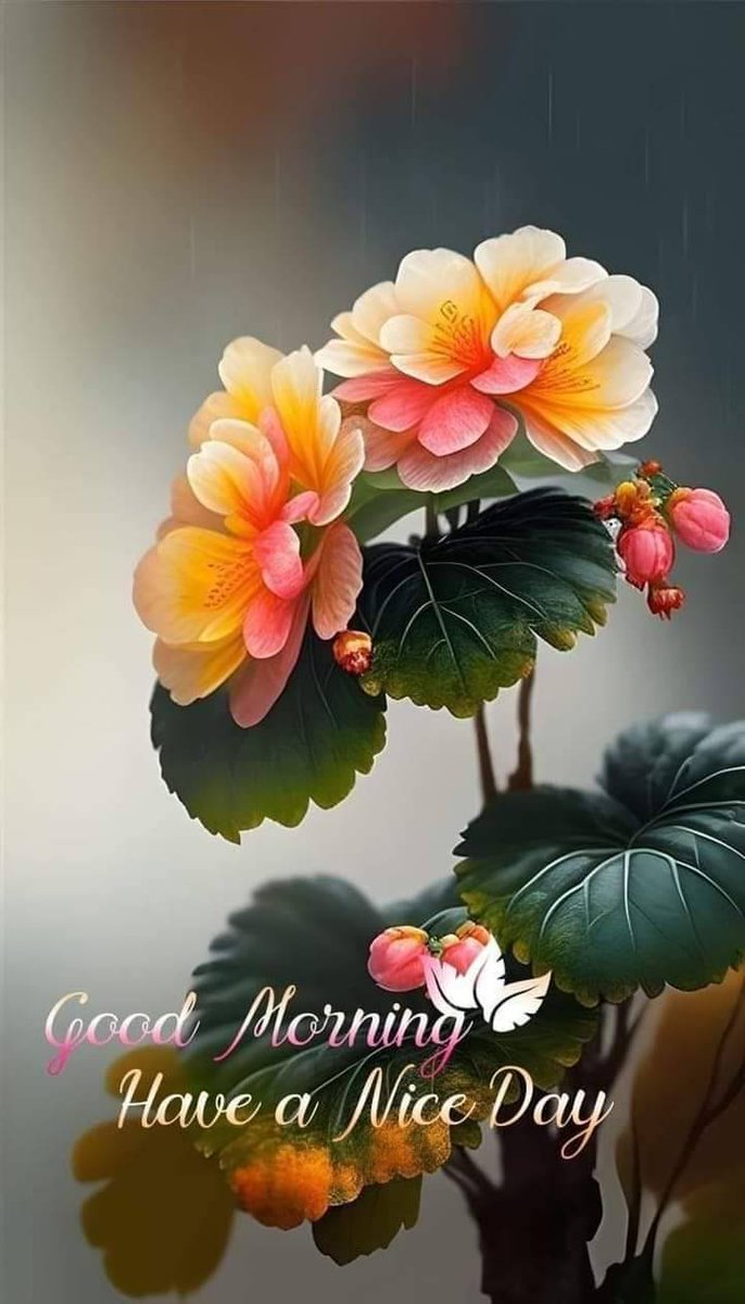 Olga (@olga87270191784) on Twitter photo 