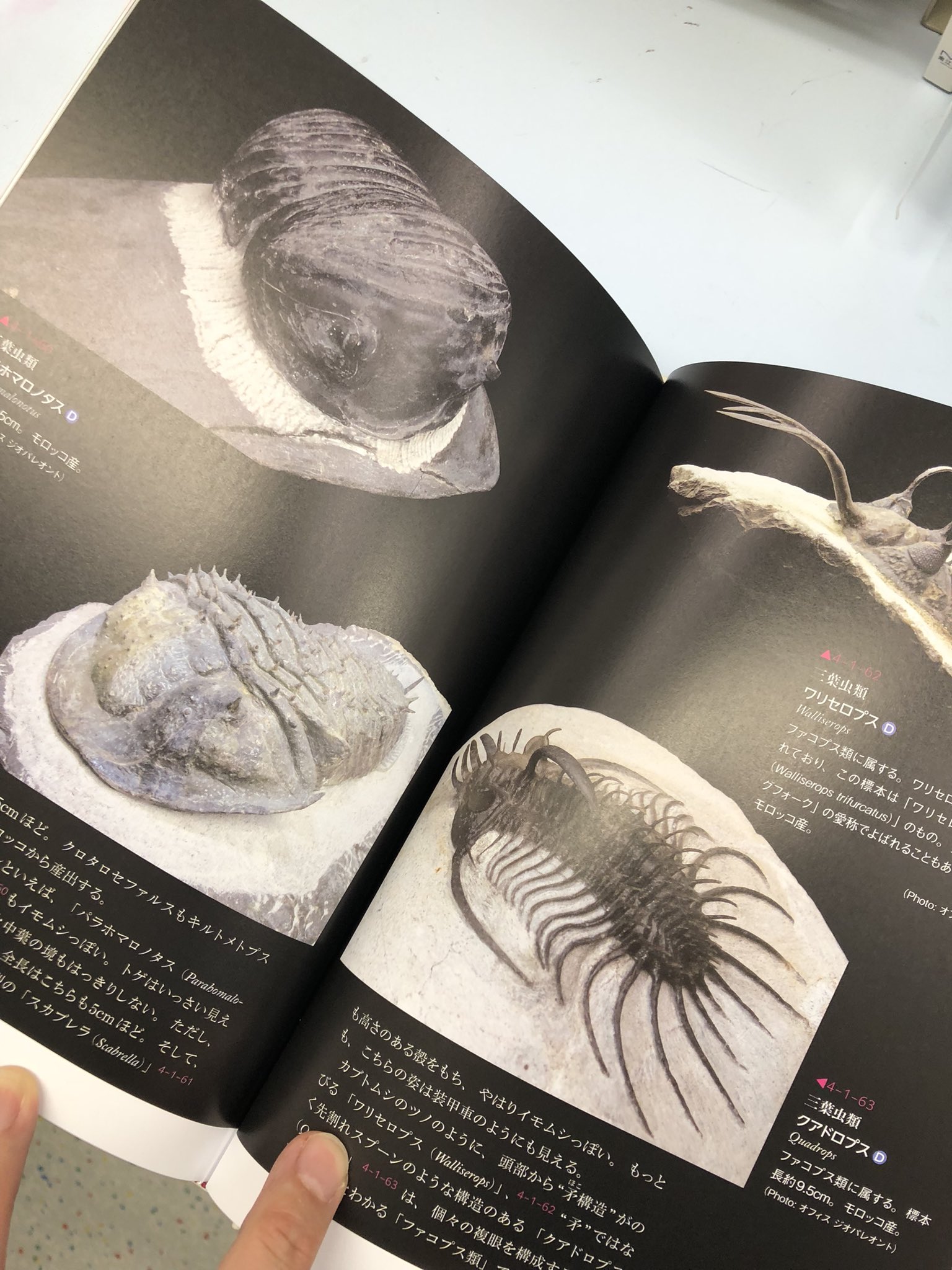 科学賞辞典』 編集発行：日外アソシエーツ 発売元：紀伊國屋書店