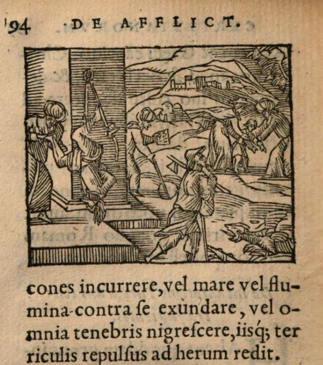 Pohled Evropanů 16. století na Turky nebyl moc pozitivní, jak reflektuje tisk De Turcarum moribus epitomae od Bartolomea Peregrina z roku 1555. 

<a href="/narodniknihovna/">Národní knihovna ČR</a> Cheb 50/6
B. G. Peregrinus: DE TVRCARVM MORIBVS EPITOME. Lvgdvni 1555
books.google.cz/books?vid=NKP:…