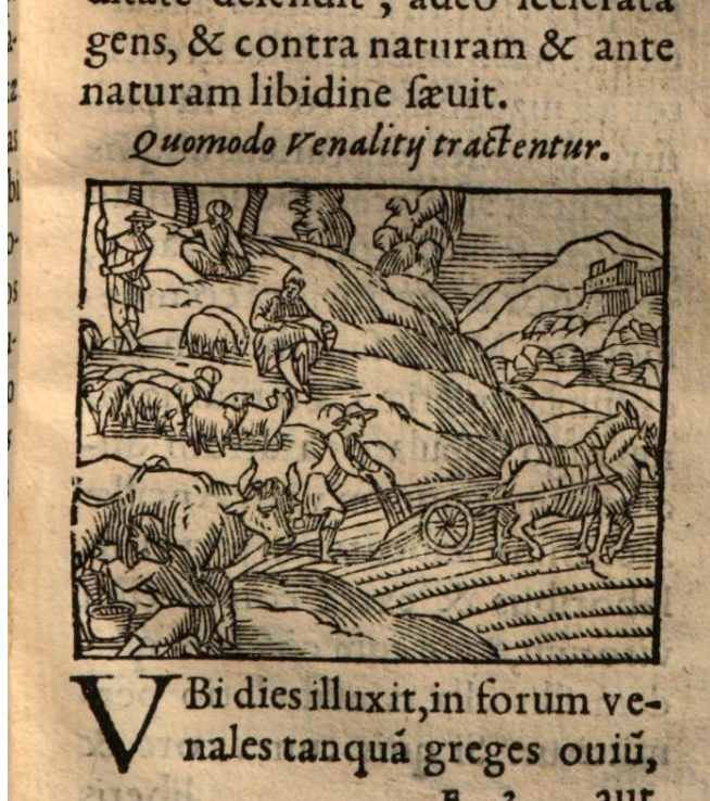 ORSTNK's tweet photo. 16th-century Europeans' view of the Turks was not very positive, as reflected in the 1555 print of De Turcarum moribus epitomae by Bartolomeo Peregrino.

@narodniknihovna Cheb 50/6
B. G. Peregrinus: DE TVRCARVM MORIBVS EPITOME. Lvgdvni 1555
https://t.co/vLReWJAzWm https://t.co/SOoh9Bl31r