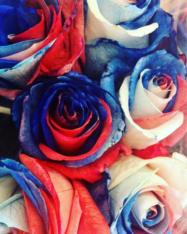 severinedroniou's tweet photo. « La fête nationale est le moment où notre histoire et notre avenir se rencontrent dans un élan de fierté et d’espoir » 
Simone de Beauvoir

#fetenationale 
#14juillet🇫�� 
#histoire #avenir #espoir 
#simonedebeauvoir https://t.co/gCTAo1J4OD