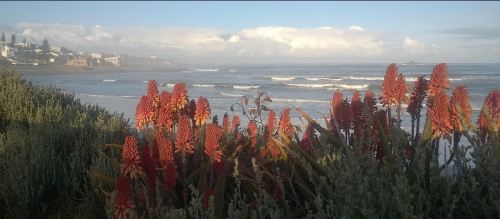 I 💜 Weskus Newsletter - mailchi.mp/b731fccbefa6/i…

Click on Facebook Page Newsletter tab to subscribe.

PHOTO: Clive Basson