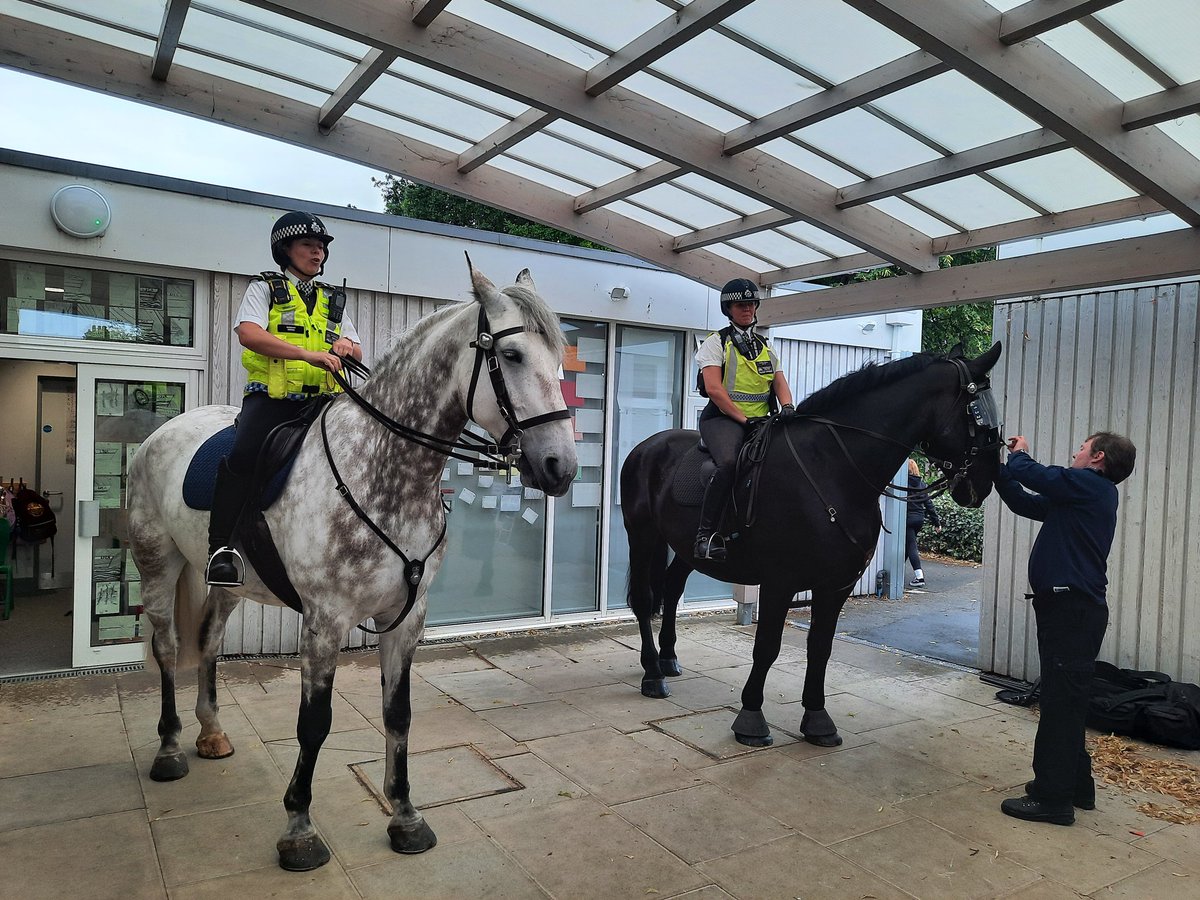 Maltese Road Primary tweet media