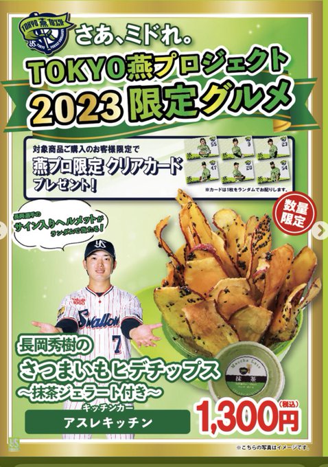 宅配便送料無料 折りたたみうちわ 2023 TOKYO燕プロジェクト 東京ヤクルトスワローズ