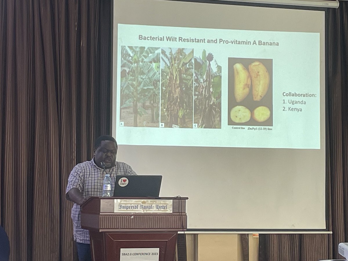 Ineke Knot tweet media