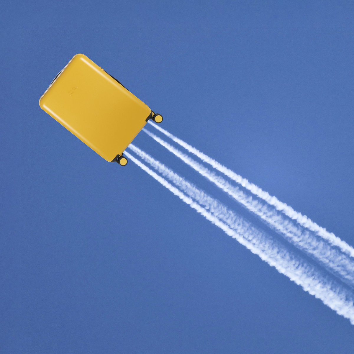 Vola con Ted, la valigia comoda e capiente per le tue vacanze

Take off on vacation with a spacious, well-designed suitcase: the Ted Trolley

#Tucano #ted #trolley

tucano.com/it/luggage-tro…