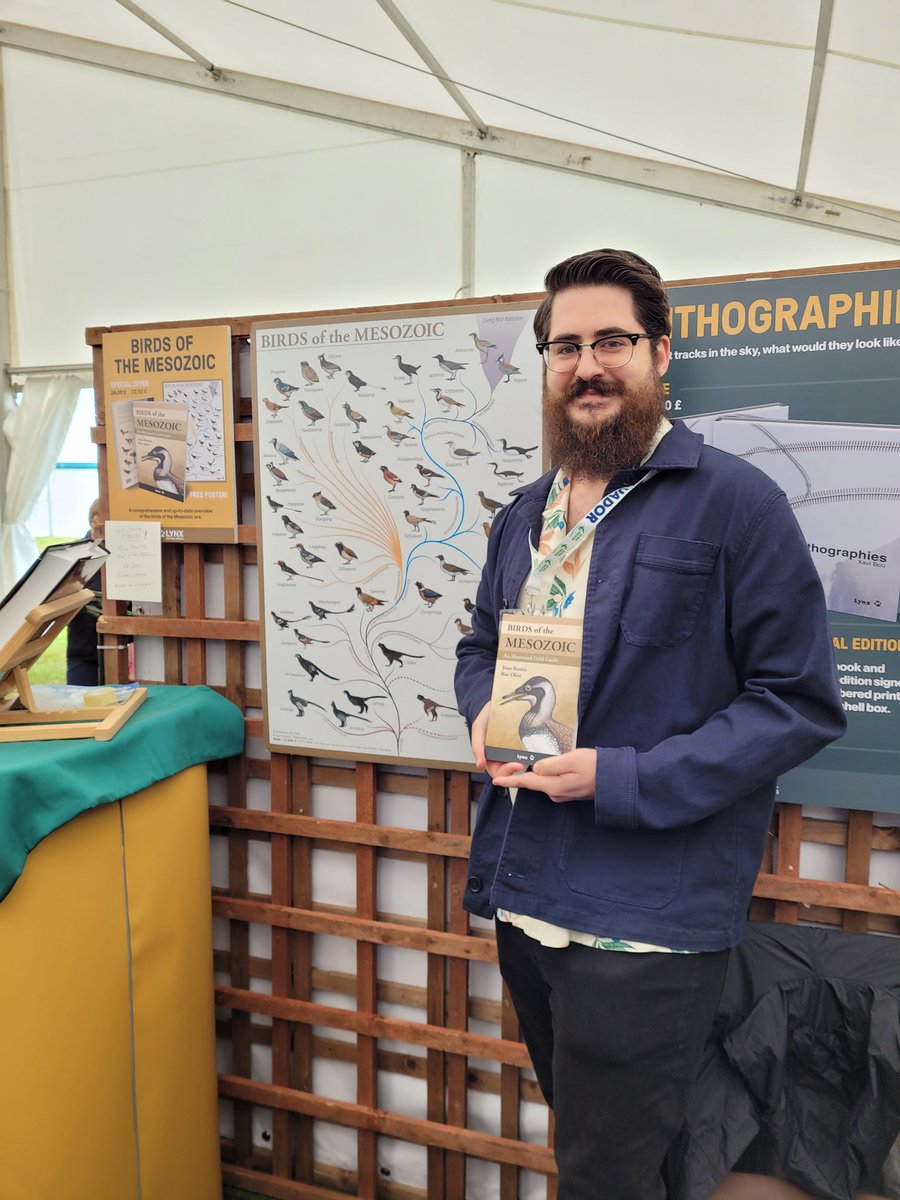 @J_BenitoMoreno is here at @GlobalBirdfair to give an interesting talk on 'Birds of the Mesozoic' TODAY at 12:30h at Curlew Stage! See you there! lynxeds.com/product/birds-…