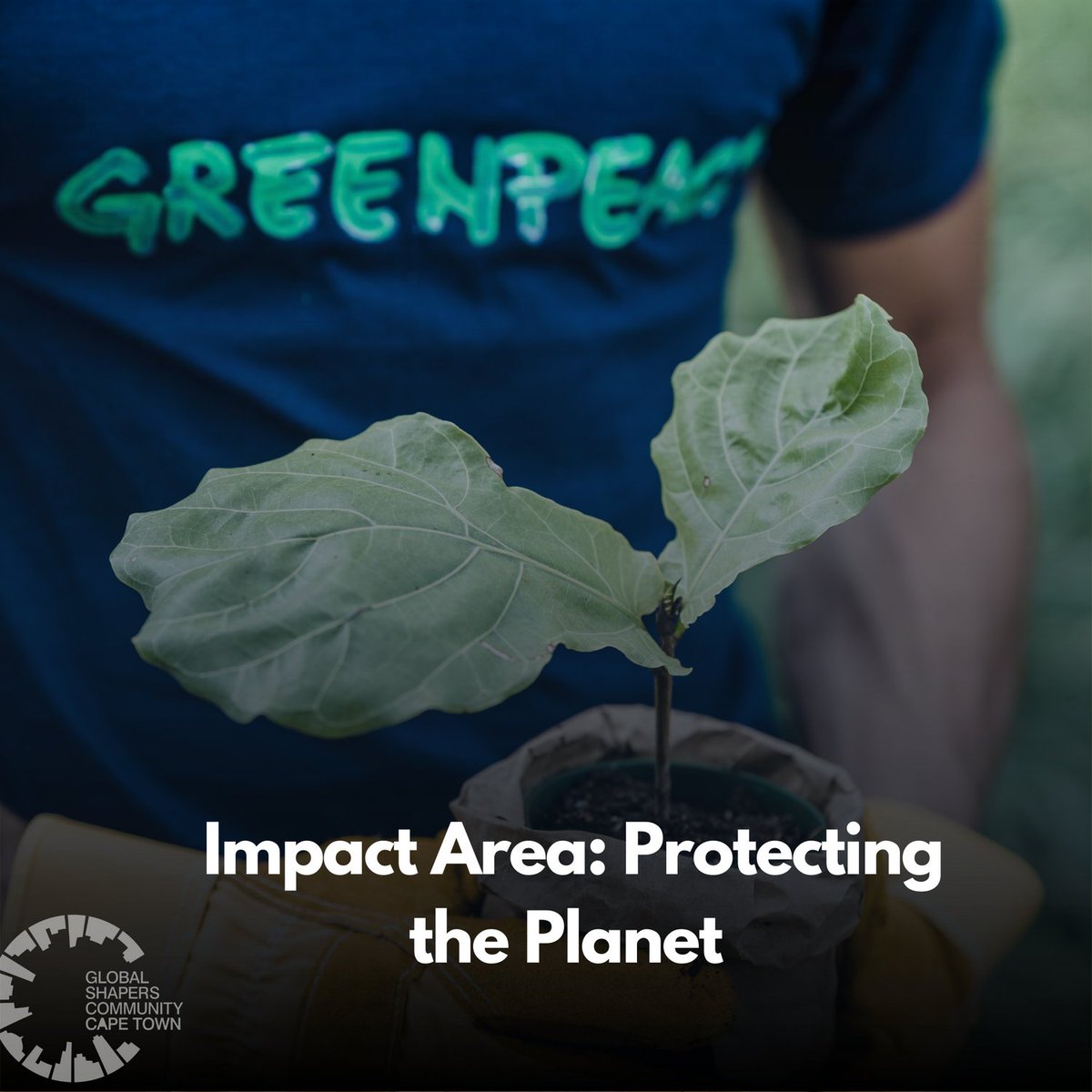 Cape Town Hub tweet media