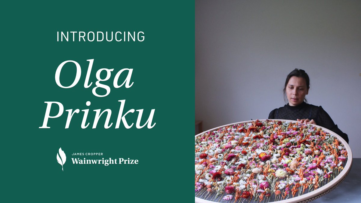 We are delighted to introduce the extraordinary Olga Prinku as our 2023 artist-in-residence for our 10th anniversary year!

Read all about her work and connection with nature here: wainwrightprize.com/news/olga-prin…

#JamesCropperWainwrightPrize #JCWP23 #10YearsOfWainwrightPrize
