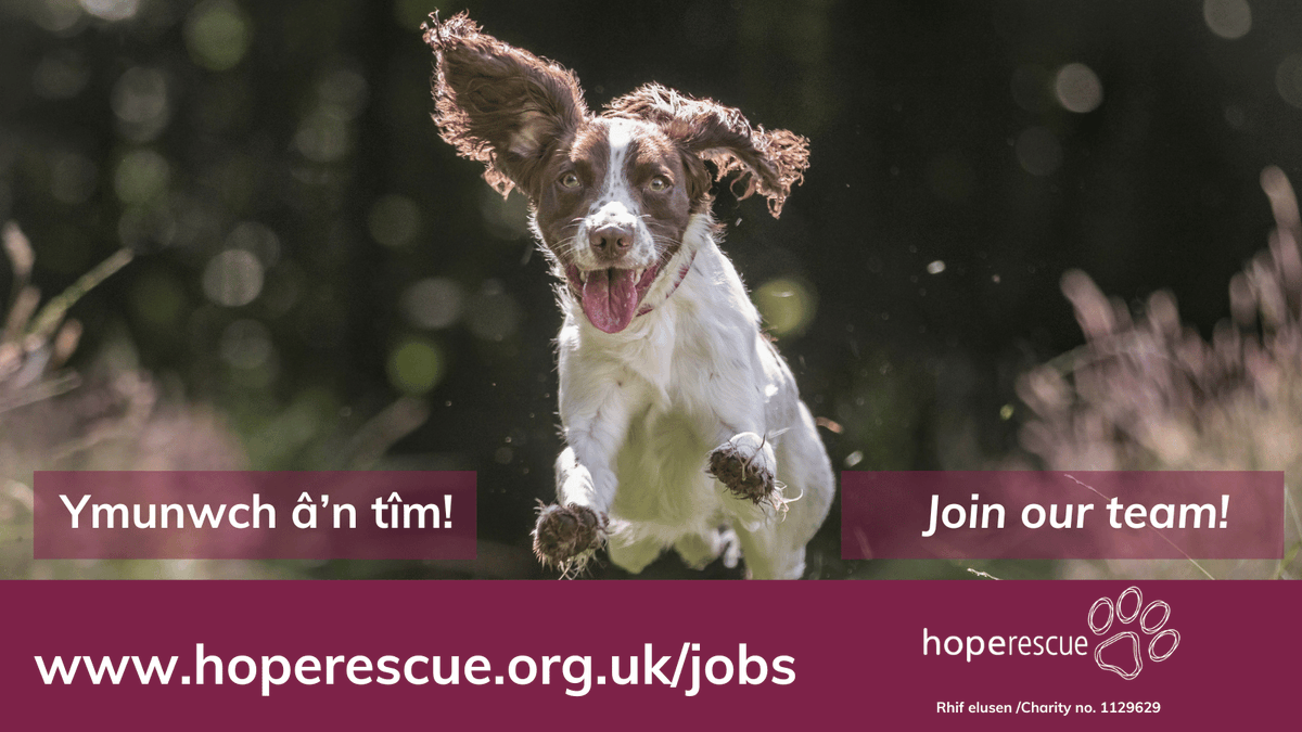 HopeRescue tweet picture
