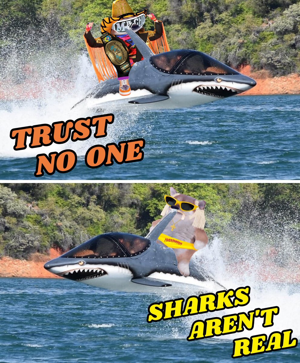 bopandy1's tweet image. Don&apos;t trust the mainstream media 🦈🦈🦈 #LookIntoIt #DoTheResearch #TheyAreLyingToUs