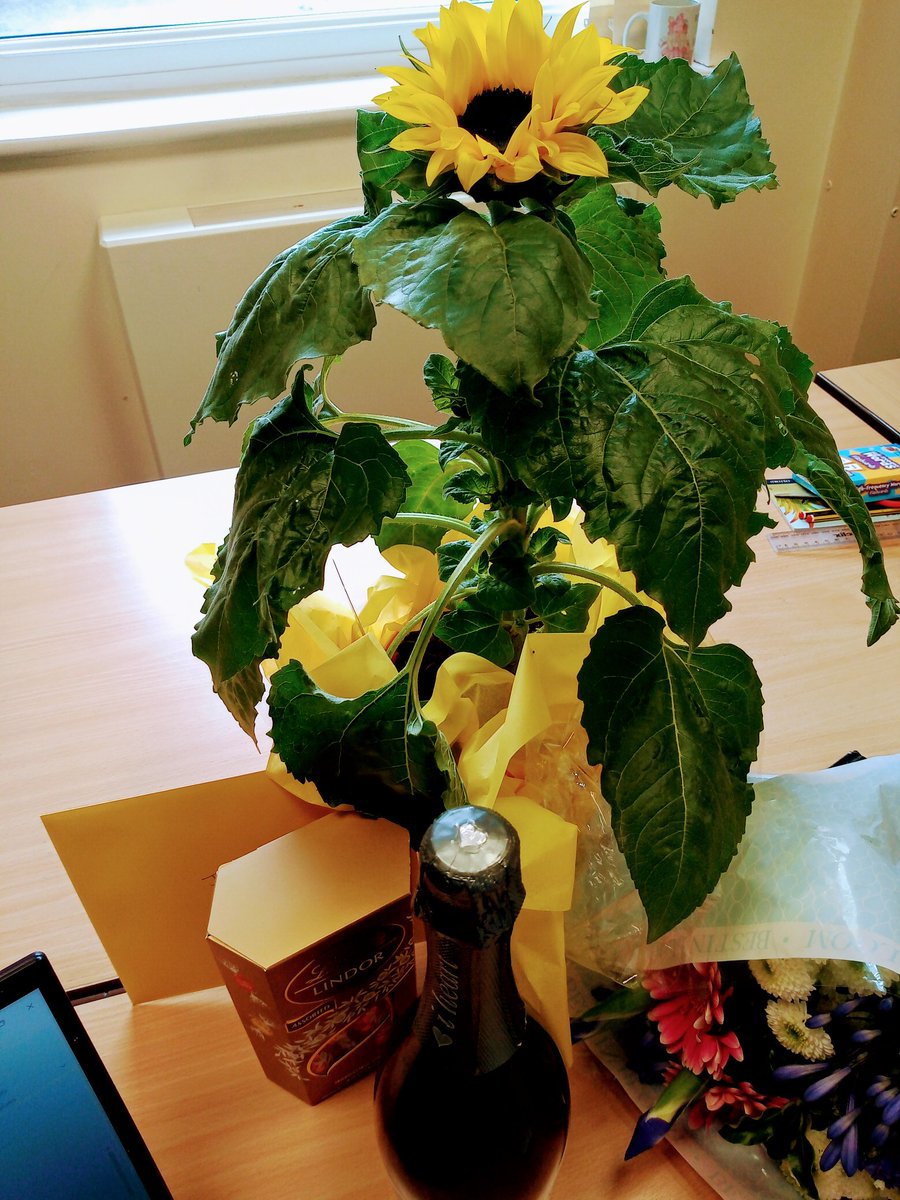 Jill Primrose (@jillprimroselst) on Twitter photo Very spoilt yesterday by <a href="/StBenedictsL30/">StBenedicts</a>! I'm sad to say goodbye but so proud of all we've achieved together! I will miss all your friendly faces and warm hellos on a Thursday! <a href="/livspeech/">Liverpool Speech Therapy</a> #mysltday Very spoilt yesterday by <a href="/StBenedictsL30/">StBenedicts</a>! I'm sad to say goodbye but so proud of all we've achieved together! I will miss all your friendly faces and warm hellos on a Thursday! <a href="/livspeech/">Liverpool Speech Therapy</a> #mysltday