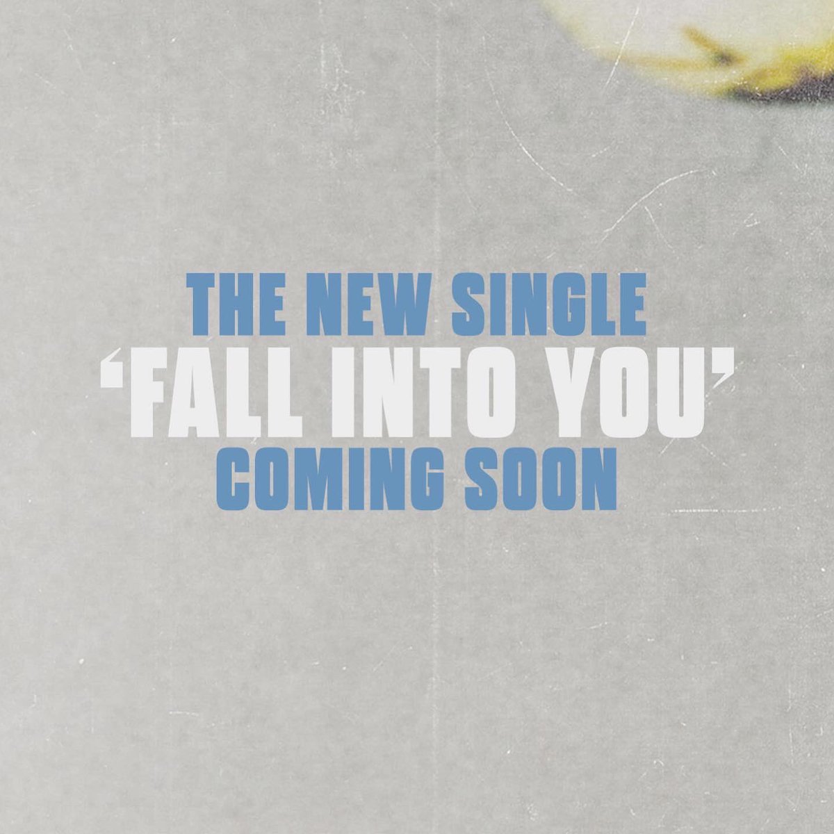 We’re releasing a new single, recorded by the legendary Gordon Raphael 🤯💐

Pre-save here: distrokid.com/hyperfollow/vi…