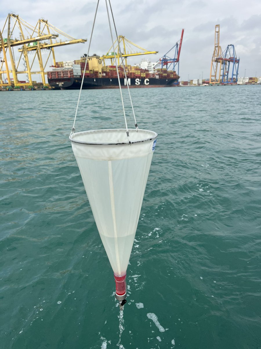BMCC_UPVEHU's tweet photo. Second round of #ecotranseas sampling with our friends from Valencia @UPV . Thanks for your help! 💪 #ballastwater #microalgae @pie_upvehu @upvehu @ztf_fct @univcadiz https://t.co/Nx80mfsf4d