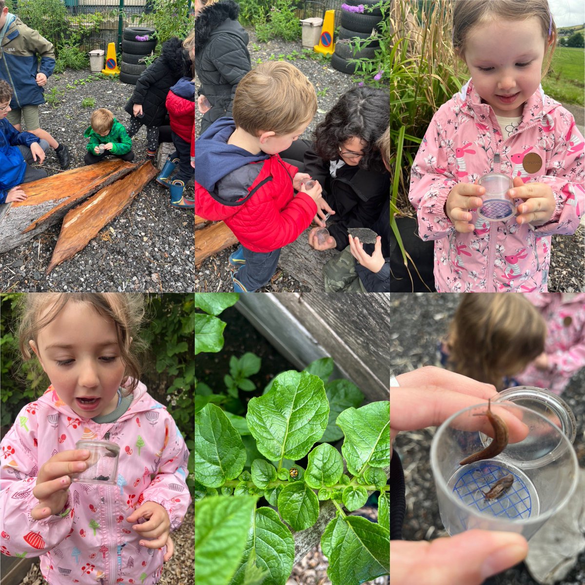 cp_class1's tweet photo. Fabulous morning at forest school! We started by being mini beast detective, we went on a hunt to find as many as possible 🐞🦟🕷🐜🪳 https://t.co/sPjnkU2Jfp