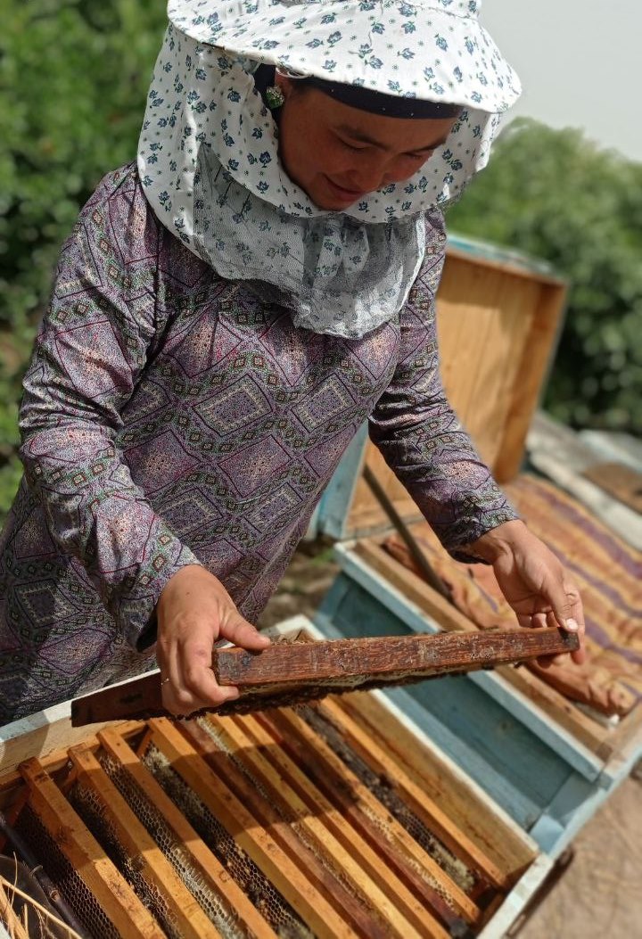 A beekeeper's wife. Dilom Allanova has 7 years of experience in beekeeping. His main profession is teaching, but he spends his spare time in beekeeping. 
Зани занбӯрпарвар Диломро Алланова 7 сола таҷриба дорад. Пешаи асосии ӯ омӯзгорист, аммо  занбӯрпарварӣ ҳам мекунад.