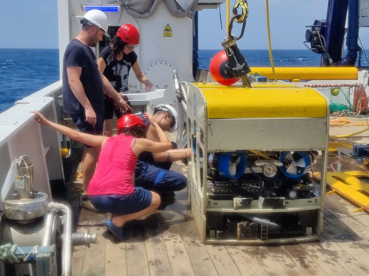 BentosIEO's tweet photo. 🚢 Sigue la campaña ZECMA-0723 🚢 Bea 🕵️‍♀️ y José Maria 🕵️‍♂️ planean donde será el siguiente punto de muestreo 🦞 mientras que Encarni y Sara recuperan fauna del ROV Liropus! Seguimos descubriendo los tesoros que esconden nuestros mares 🦐🐟🦀🦈🪸🐙🐠 https://t.co/mnLsyTEtB2