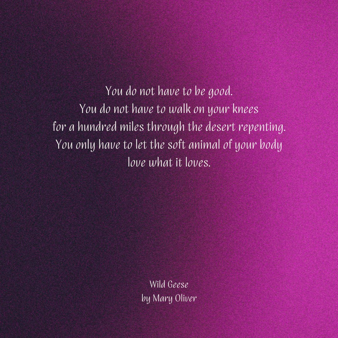 PoemAnalysis's tweet photo. In short, ‘Wild Geese’ is a poem, written by Mary Oliver, that expresses what one must do in order to lead a good life.
Follow us for more helpful tips!💡
#poem #shortpoem #poemquotes #poetry #maryoliver #wildgeese #poets #writers #readers https://t.co/dFT32y1Dhp