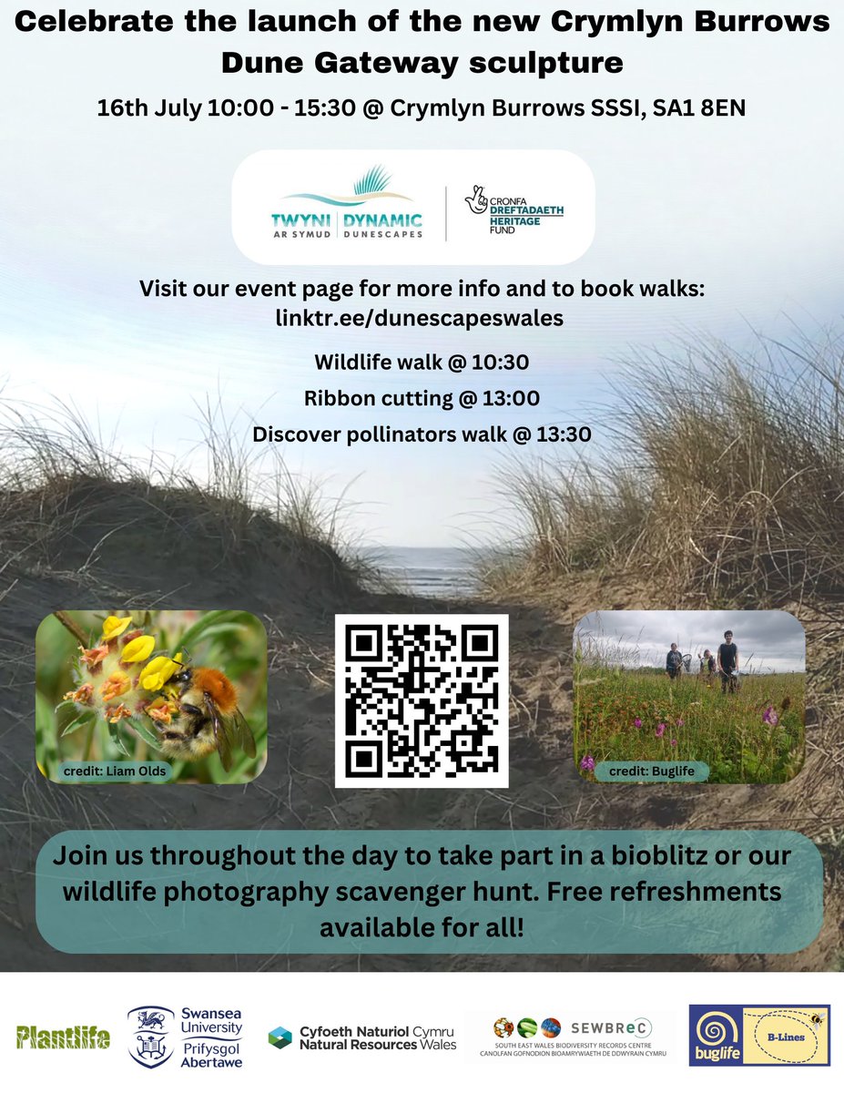 Plantlife Cymru tweet media