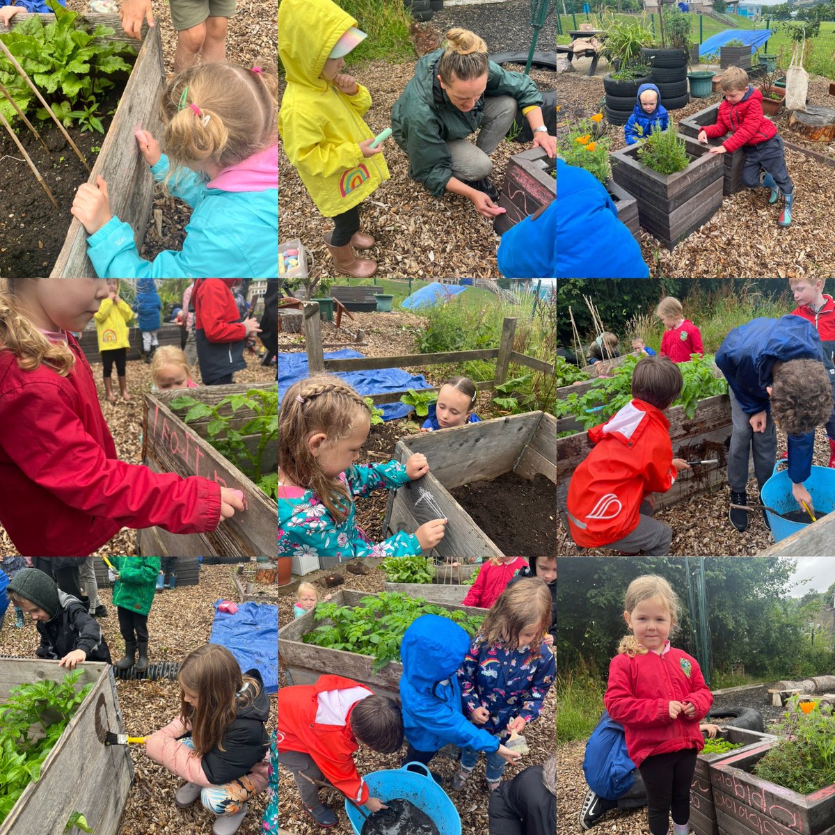 cp_class1's tweet photo. We then made a fire and made yummy popcorn! We even had a cup full as a mid morning snack🍿 After that we chalked and mud painted the plant pots and tires, so much fun! https://t.co/u37P6tFtYV