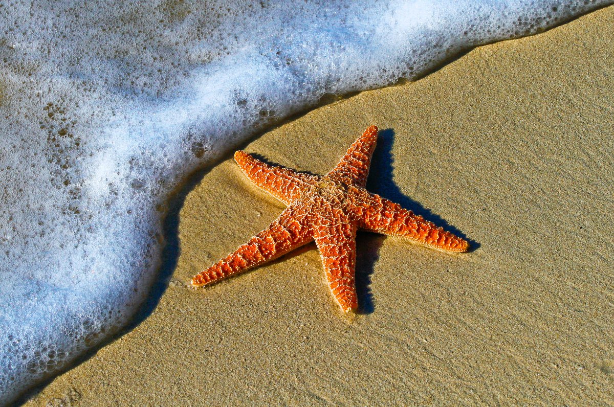73 aanmeldingen voor Onze Buurt 2023, opvallend veel projecten die te maken hebben met armoede.
De juryleden van Onze Buurt gaan nu met dikke mappen in de bagage op vakantie.  (foto Unsplash)