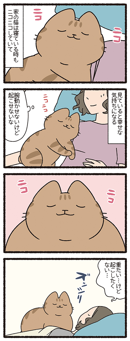 ねこようかい わらいおんな #ねこもんすたー #ねこようかい