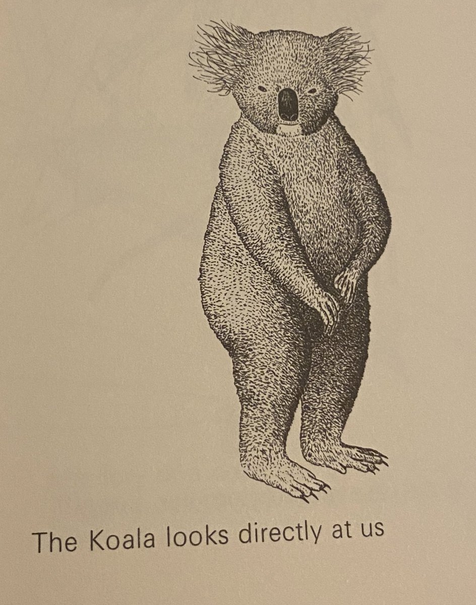 GuloThoughts's tweet photo. Good morning to everyone except this horrifying illustration from a 1970’s Australian natural history book https://t.co/sjIr050zX6