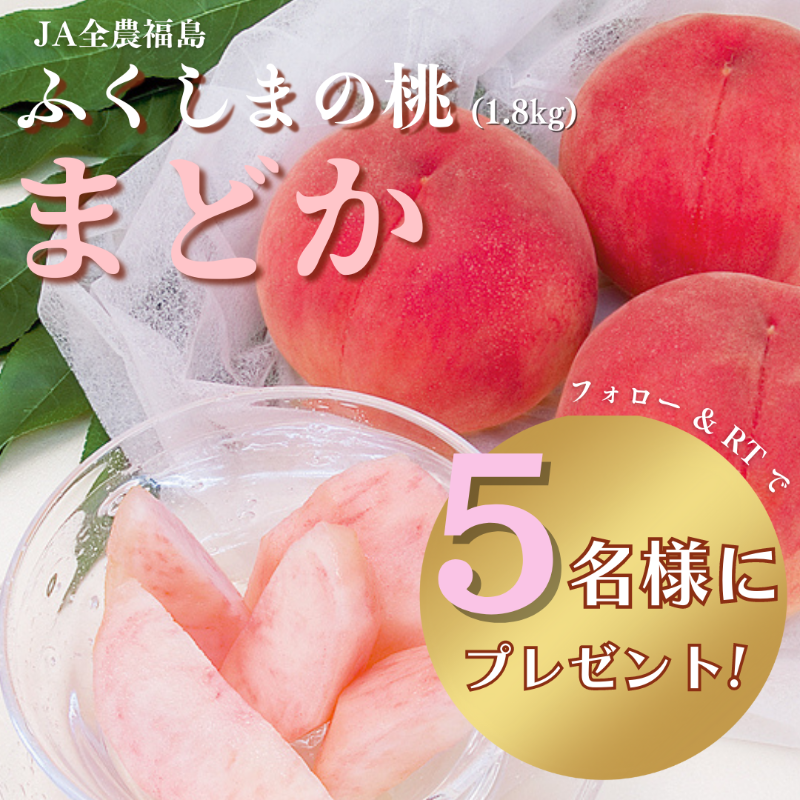 fukushimafm's tweet photo. 🍑7/26は『#ふくしま桃の日』🍑
／
#ふくしまFM をフォロー＆RTで
#JA全農福島 から
ふくしまの桃『 #まどか 』を
5⃣名様にプレゼント！
╲

🌿応募方法🌿
① @fukushimafm をフォロー
② 投稿をRT
締切 7/31(月) 正午