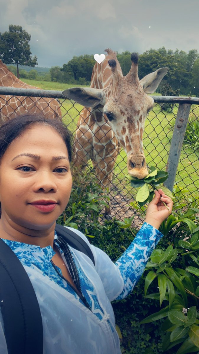 Queennebee's tweet photo. Todayβs tour to #Calauit #Safari in #Coron #Palawan #Philippines π΅π https://t.co/lF1fL5jN7J