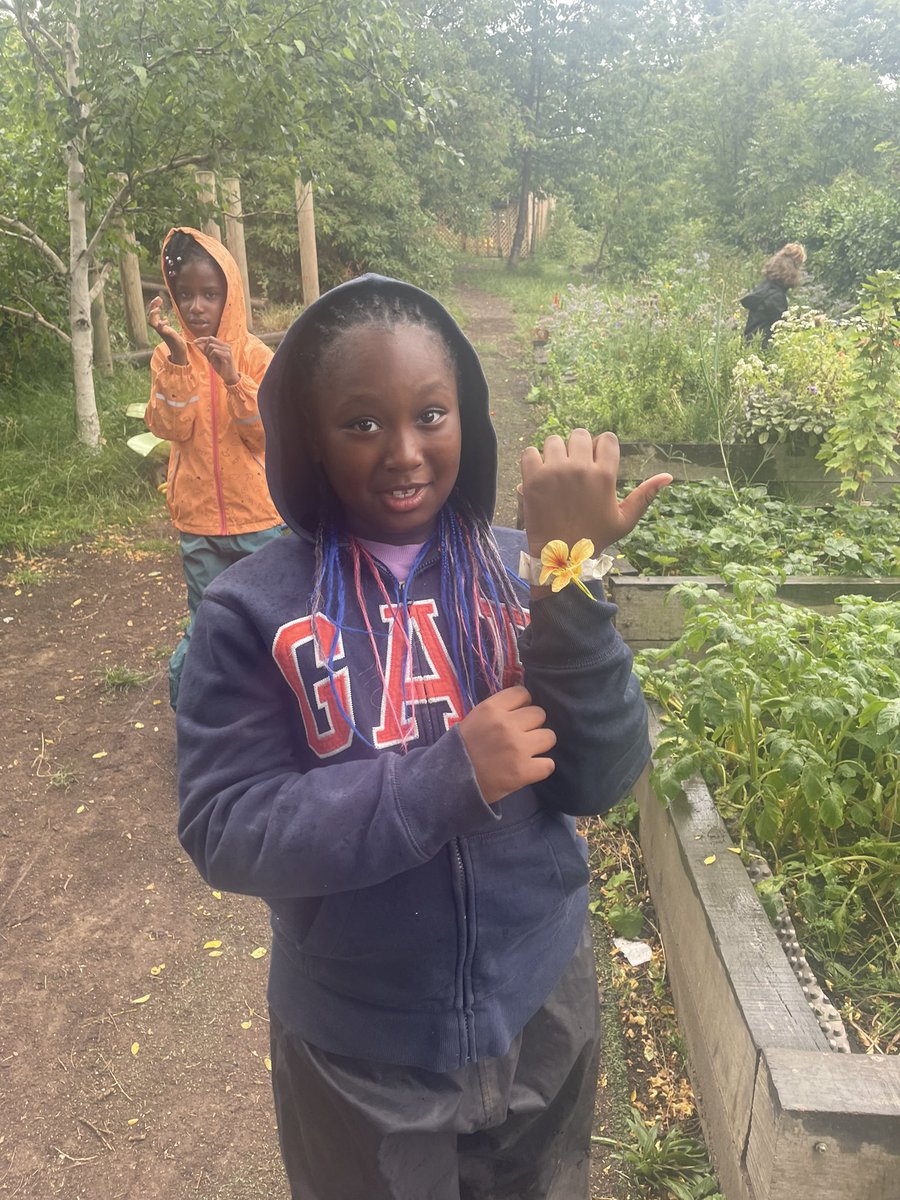 MrFielding tweet media