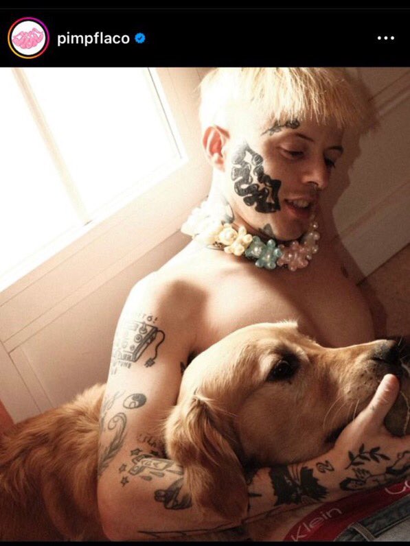 444deezy's tweet photo. porque nadie habla de que pimp flaco se ha tatuado una mitocondria en la cara https://t.co/Fr6c5Rawxs