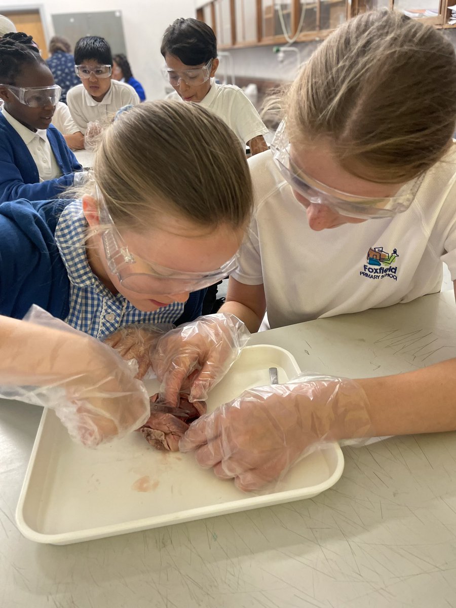 Yew Class tweet media